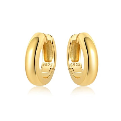 Sterling Silver 18K Gold Plated Women's Earrings Hypoallergenic Hoops, Dainty Trendy Jewelry Gift - color: Golden | Textured Versatile Basic Earrings