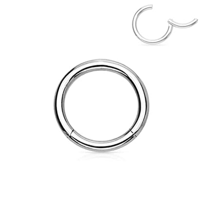 Forbidden Body Jewelry 316L Surgical Steel Hinged Seamless Nose Rings Hoop 14G 16G 18G, Diameter 6mm 8mm 10mm 12mm, Gold/Rose Gold/Silver/Black/Rainbow Colors. - style: 14g 6mm - Silver