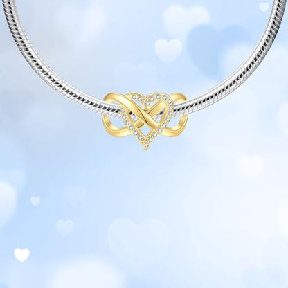 925 Sterling Silver Charms fits Bracelets and Necklace Pendant Bead Charms Jewelry Gift for Women Family Friends - style: Infinite Love Charm