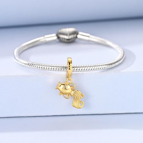 LAZA 925 Silver Charms for Bracelets and Necklaces Gold charms for Women | Summer Travel Party Lucky Zodiac Charms Clearance Pendant Beads Christmas Birthday Graduation Gift Jewelry for Women - color: Aquarius