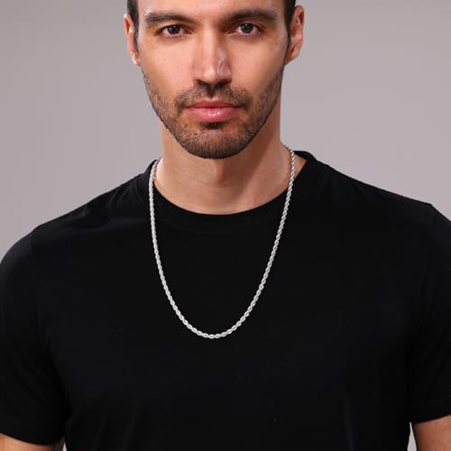 24K Gold Plated Rope Chain Stainless Steel Twist Chain Necklace Men Women - color: Stainless Steel, size: 24 Inches