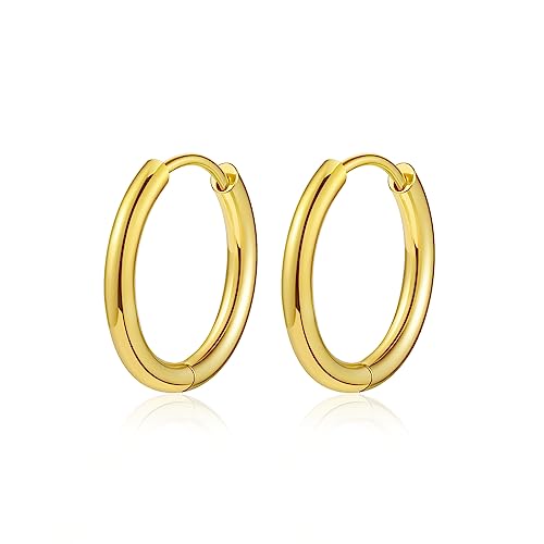 Titanium Huggie Hoop Earrings Hypoallergenic Nickel Free Hinged Sleeper Earrings for Sensitive Skin Cartilage Helix Lobes - style: gold 8mm
