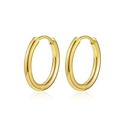 Titanium Huggie Hoop Earrings Hypoallergenic Nickel Free Hinged Sleeper Earrings for Sensitive Skin Cartilage Helix Lobes - style: gold 8mm