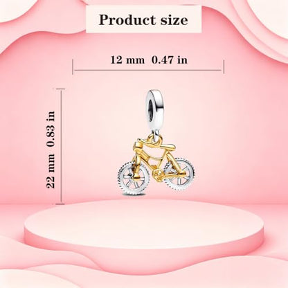 925 Sterling Silver Charms Pendants Mom Heart Dog koi fish Sea Turtle Football Charms for bracelet Pendants Beads Mom Sister Wife Family, Friends, Birthday gifts - style: Bicycle Pendants