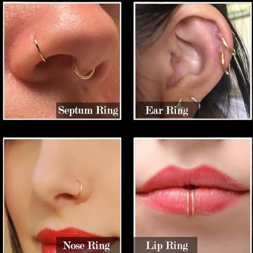 2Pcs Titanium Nose Rings 20G 18G 16G 14G Nose Rings Hoops Diameter 5mm to 12mm Silver-Gold-Rose Gold-Black Cartilage Helix Tragus Daith Rook Hoop Earrings Hinged Segment Septum Clicker Body Piercing Jewelry - color: Gold