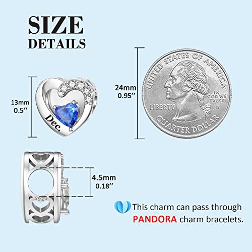 SEVENWELL Jan-Dec Birthstone Charms for Pandora Bracelets, Heart Charm | Fits Most European Charm Bracelets, Sparkling Heart CZ, Birth Flower Engraved, Gift Ready, Nickel-Free - color: December Birthstone Charm