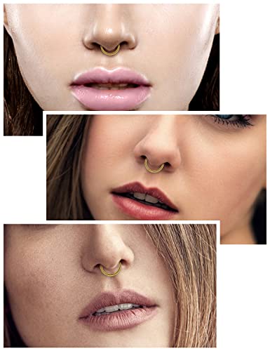 Vsnnsns 14G 16G Septum Nose Rings Hoops Lip Ring Piercing Jewelry 316L Surgical Steel Hinged Segment Clicker Cartilage Tragus Helix Conch Rook Daith Lobe Earrings Hoops Piercing Jewelry for Women Men - color: 16G-Gold