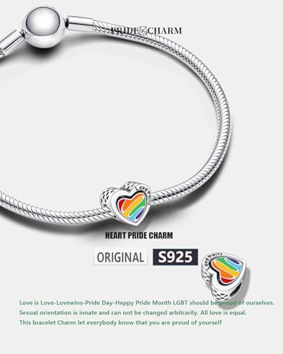 KEQ Rainbow Dangle Charm for Bracelet Necklace In A World Full Of Darkness Be A Rainbow Pride Month - color: HEART BEAT