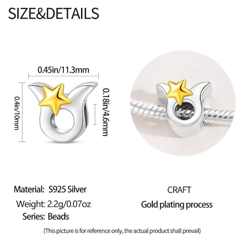 925 Sterling Silver 12 Astrological Signs Charm for Bracelets and Necklace Happy Birthday Charms for Bracelet and Necklace Valentine's Day Mother's Day Gift - style: Taurus Charm