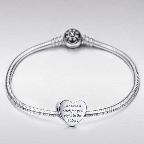 Heart Charm Fit for Pandora Charms Bracelet Inspirational Engraving Jewelry Personality Encouragement Gifts for Women - style: I'd shank a bi♡ch for you right in the kidney