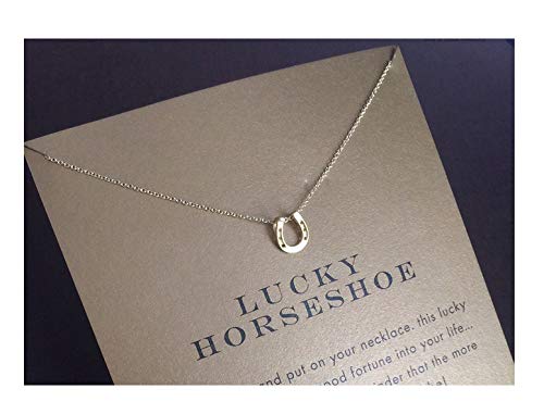 Baydurcan Friendship Anchor Compass Necklace Good Luck Elephant Pendant Chain Necklace with Message Card Gift Card - style: Horseshoe