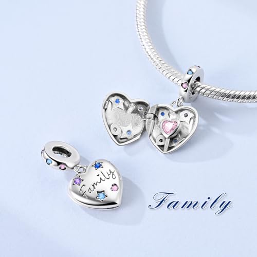 Hapour 925 Sterling Silver Charms for Bracelet Necklace Dangle Pendant Bead | Bear Charm, Elephant Zebra Cat Dream catcher Family Birthday European Jewelry Charm, For Women Mom - color: Family Heart
