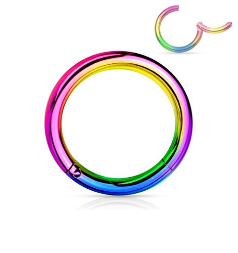 Forbidden Body Jewelry 316L Surgical Steel Hinged Seamless Nose Rings Hoop 14G 16G 18G, Diameter 6mm 8mm 10mm 12mm, Gold/Rose Gold/Silver/Black/Rainbow Colors. - style: 14g 8mm - Rainbow