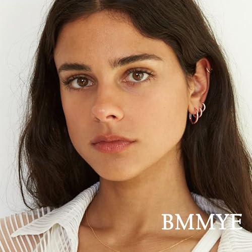 5-10 Pairs Small Gold Silver Hoop Earrings for Women, Stainless Steel Earrings Set Mens Lightweight Thin Hypoallergenic Small Hoops Set - style: 5pcs-Rose 8-16mm