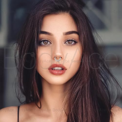 CZ Hinged Segment Clicker PA Rings, 2G 4G 6G 8G 10G 12G Large Septum Nose Rings, Surgical Steel Spring Action BCR Ring Ear Gauges Earrings Hoops - color: 8G(3mm),Hoops:16mm