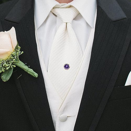 HAWSON Mens Tie Tack with Chain Round Crystal Wedding Business Accessories - color: Gold + Purple Velvet