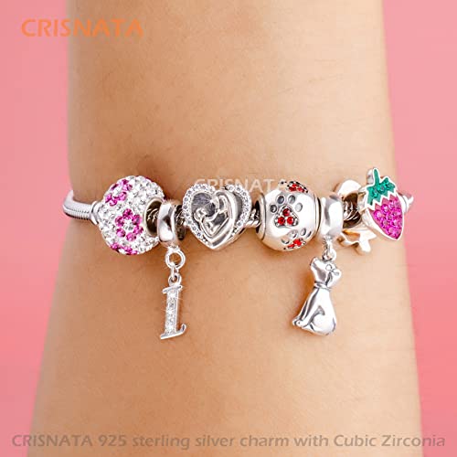 26 Letter Pendant Charms, Polished 925 Sterling Silver Complete Initial A-Z Dangling CZ Stone Alphabet Beads, fits European Bracelet Necklace, Gift for Mother/Father/Daughter/Son/Sister/Aunt - color: Letter I CZ Pendant Charm