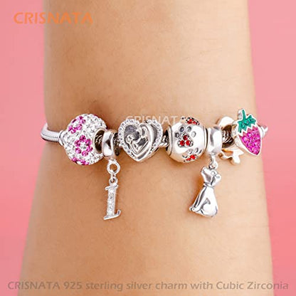 26 Letter Pendant Charms, Polished 925 Sterling Silver Complete Initial A-Z Dangling CZ Stone Alphabet Beads, fits European Bracelet Necklace, Gift for Mother/Father/Daughter/Son/Sister/Aunt - color: Letter I CZ Pendant Charm