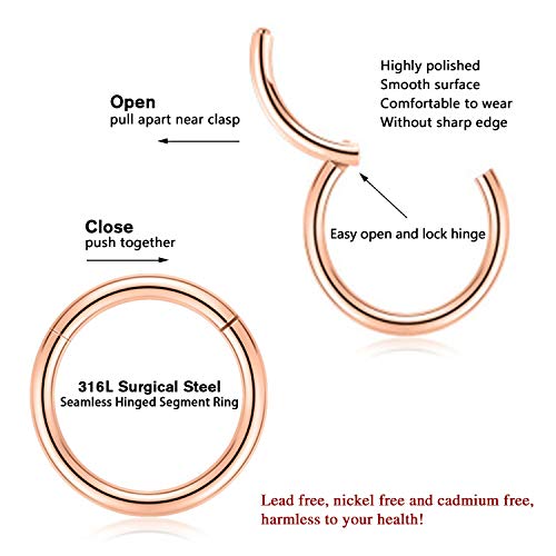 FUNLMO 316L Surgical Steel Hinged Segment Nose Ring Hoop for Nose Septum Cartilage Helix Tragus Conch Rook Daith Lobe Lip Piercings 1 Pc - color: Rose gold