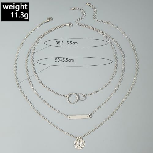 Layered Gold Necklace for Women Double Layer Snake Chain Necklace Set Jewelry Gift - color: Silver Stacked Necklace