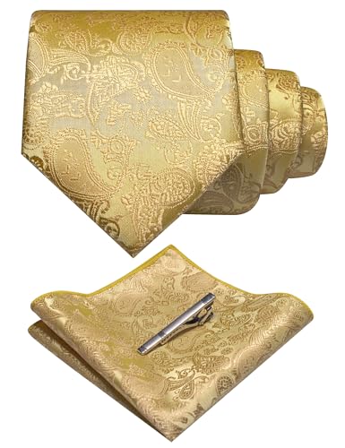 JEMYGINS Mens Solid Color Paisley Necktie and Pocket Square with Tie Clip Sets - color: Gold2