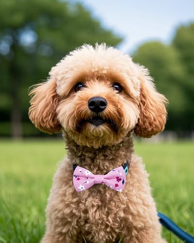 PET SHOW 5 Pack Floral Small Dog Bow Ties Sliding Collar Attachments Puppy Cats Spring Bowties for Medium Dogs Daisy Rose Bowknots Party Holiday Pet Grooming Accessories - size: S/M