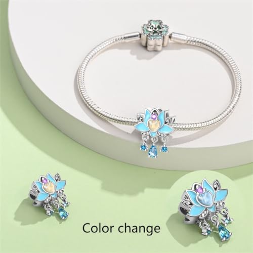 925 Sterling Silver Charms for Bracelets and Necklaces Beads Charms Jewelry Gift for Women - color: silver