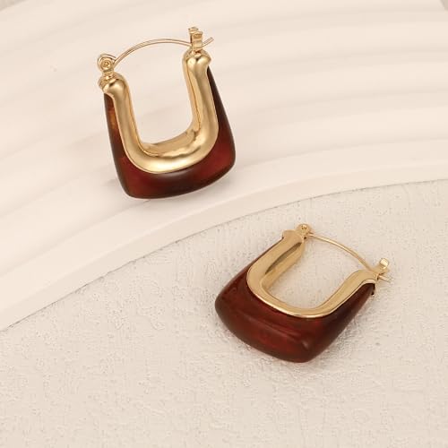 Dr's gift Chunky Leopard Print Earrings for Women 14K Gold Plated Statement Huggie Hoop Earrings Brown Acrylic Tortoise Resin Cheetah Trendy Jewelry - color: Brown 2