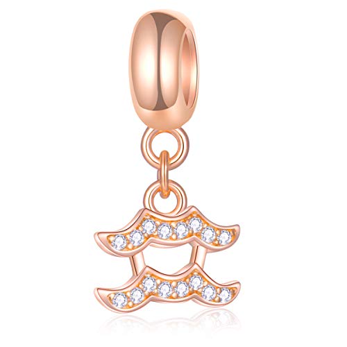 EMOSTAR Zodiac Sign Charms fits European Charm Bracelet – Rose Gold 925 Sterling Silver Necklace Pendant, 12 Horoscope Constellation Dangle CZ Birthstone Beads, Gifts for Women/Men/Birthday - color: Aquarius (1.20 – 2.18)