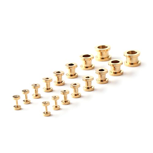 16pcs Surgical Steel Screw Tunnel Gauge Ear Expander Stretching Kit Plugs Piercing -8 Pairs 14g-00g (1.6mm-10mm) - color: Gold