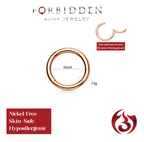 Forbidden Body Jewelry 316L Surgical Steel Hinged Seamless Nose Rings Hoop 14G 16G 18G, Diameter 6mm 8mm 10mm 12mm, Gold/Rose Gold/Silver/Black/Rainbow Colors. - style: 14g 6mm - Rose Gold