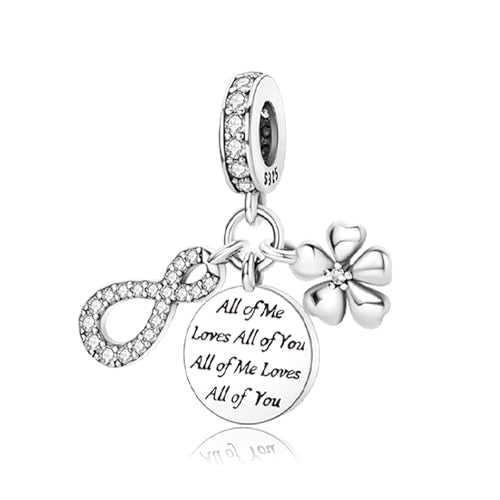 925 Sterling Silver Bead Charm for Pandora Bracelets and Necklaces,Pink Bow Cherry Butterfly Blue Ocean Pendant Bead Charms Jewelry Present Valentines Gifts for Wife/Girlfriend Women - style: All of Me Loves All of You