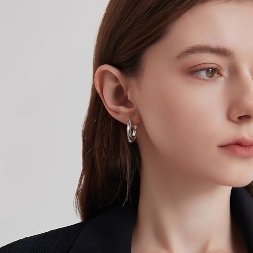 14k Gold Plated Hoop Earrings for Women, 925 Sterling Silver Posts Thick Twist Hypoallergenic Chunky Large Earrings 20mm 30mm 40mm 50mm - color: silver, size: 30mm