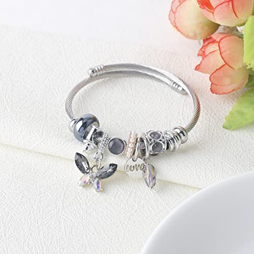DS Charm Bracelets for girls,exquisite cute cartoon friendship bracelets Silver Stainless Steel Bangle with birthday Gift box, Adjustable girls jewelry Suitable for holiday gifts - style: Silver-gray butterfly