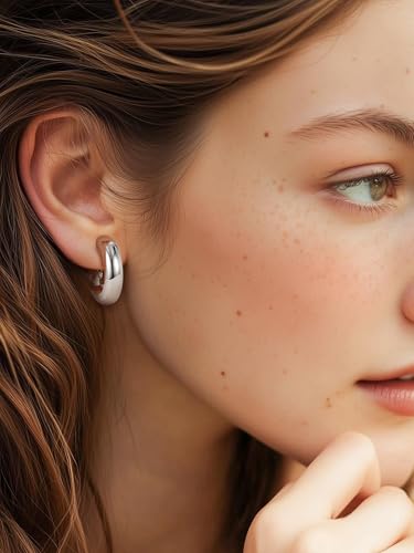 PROSTEEL Chunky Hoop Earrings for Women 14K Gold Plated/Black/Silver | 20/30/40/50/60/70/80mm Stainless Steel Thick Big Round Hoop with Waterproof and Non Tarnish Trendy Jewelry with Gift Box - color: 1. Silver, size: 20MM