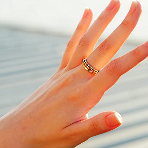 Muses Art Design Fidget Rings, Anxiety Rings, Spinner Rings, Band Rings with Birthstone, Stainless Steel, Women and Men, Meditation Rings, Thumb Rings, Stress Relieving and Anxiety Reducing - color: June - Alexandrite