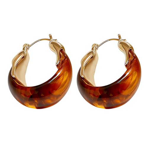 Brown Gold Earrings for Women, Resin Tiger Eye Stud Earrings Set, Chunky Translucent Hypoallergenic Vintage Fashion Jewelry Gifts - color: 1 Pairs Brown-1