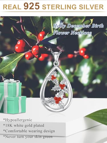 12 Month Birth Flower Necklace for Women 925 Sterling Silver Floral Teardrop Pendant Birthday Jewelry Gifts - color: 12. December Holly