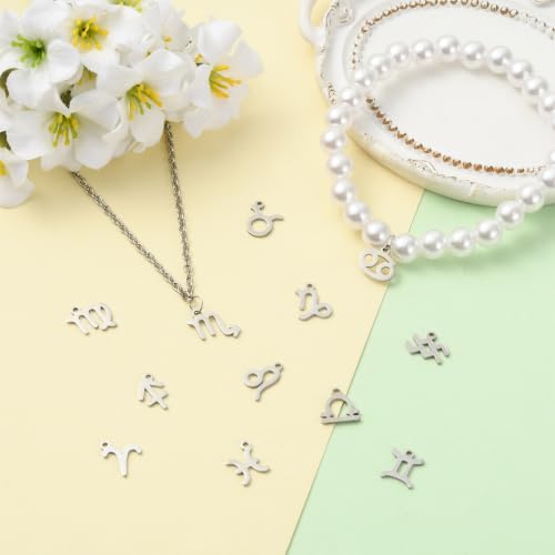 8-64Pcs Silver Goldern Color Heart Pendants Charms 10 Styles Heart Stainless Steel Metal Charms for Jewelry Making Crafting Necklaces Bracelets Earrings Keychains Birthday Gift - color: Constellation-10 Pcs