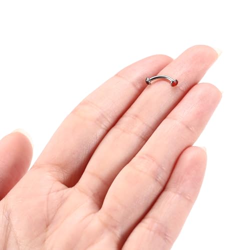 G23 Titanium Eyebrow Piercing Jewelry Eyebrow Rings Curved Barbell 16G Eyebrow Belly Button Ring Navel Rings Rook Daith Earrings Lip Ring Eyebrow Jewelry 6mm-12mm - color: 2PCS,Disc Shape Red Agate,Silver