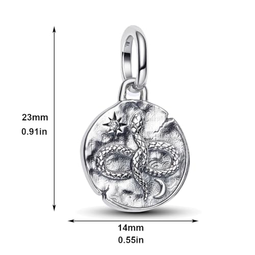 925 Sterling Silver Dangle Charm Fit Women Bracelet And Necklaces Jewelry | Medallion Pendants Beads Jewelry Charms for Women Fashion Gift Family Friends Mother's Day - color: Infinity Snake Medallion Charm 1198