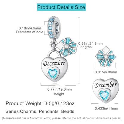 HappyStar 925 Sterling Silver Happy Birthday Bead Charm Love Heart Shape Birthstone Charms for Bracelets Dangle Pendant with 5A Cubic Zirconia Compatible Pandora Bracelets Jewelry Gift for Women - color: 93-December Birthstone Charms