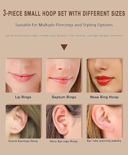 AMASIS Nose Rings and Nose Studs Set, Stainless Steel Hinged Nose Hoops and CZ Studs, Select Sizes and Styles for Nostril Septum Cartilage Piercing Jewelry - color: Silver, size: 3-Piece Hoops,16Gauge,6/8/10mm