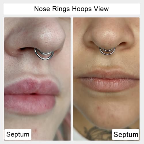 Titanium 16G Septum Ring Piercing Jewelry Nose Rings Hinged Clicker Hoop | G23 Titanium Silver Gold Hinged Segment Daith Piercing Jewelry Non-irritating , Clicker Septum Nose Piercing Jewelry Hoops - color: 08 Circle-Silver, size: 16G-8mm