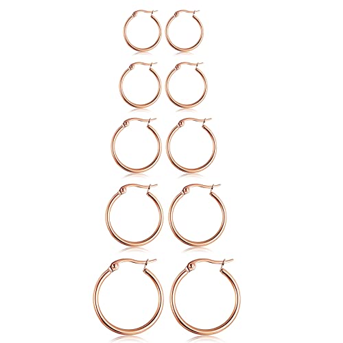 5-10 Pairs Small Gold Silver Hoop Earrings for Women, Stainless Steel Earrings Set Mens Lightweight Thin Hypoallergenic Small Hoops Set - style: 5pcs-Rose 8-16mm