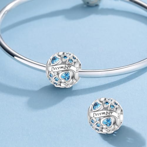 HappyStar 925 Sterling Silver Four Leaf Clover Bead Charm with Cubic Zirconia Birthstone Charms for Bracelets Dangle Pendant Compatible Pandora Bracelets Lucky Charm Birthday Gift - color: 93-December Birthstone Bead