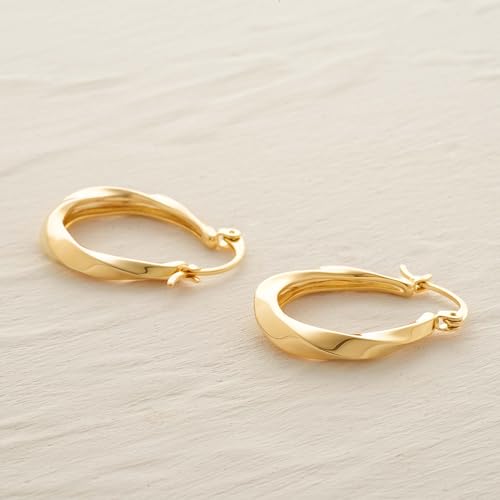 Gold Hoop Earrings for Women 14K Gold Plated Chunky Huggie Hoops Simple Cute Earrings Minimalist Jewelry for Women Gifts - style: Twist