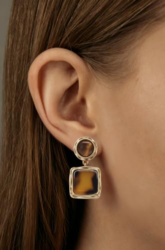 Dr's gift Chunky Leopard Print Earrings for Women 14K Gold Plated Statement Huggie Hoop Earrings Brown Acrylic Tortoise Resin Cheetah Trendy Jewelry - color: Leopard stud