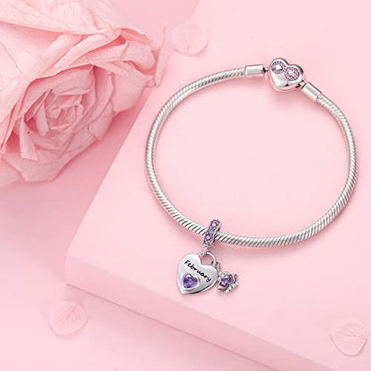 Birthstone Charms for Charms Bracelet: 925 Sterling Silver Heart Dangle Charms for Bracelets and Necklaces, Birthday Mother's Day Christmas Gifts For Women. - color: February
