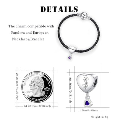 Birth Flower Heart Charm 12 Birthstone Bead for European Bracelet Necklace - style: February